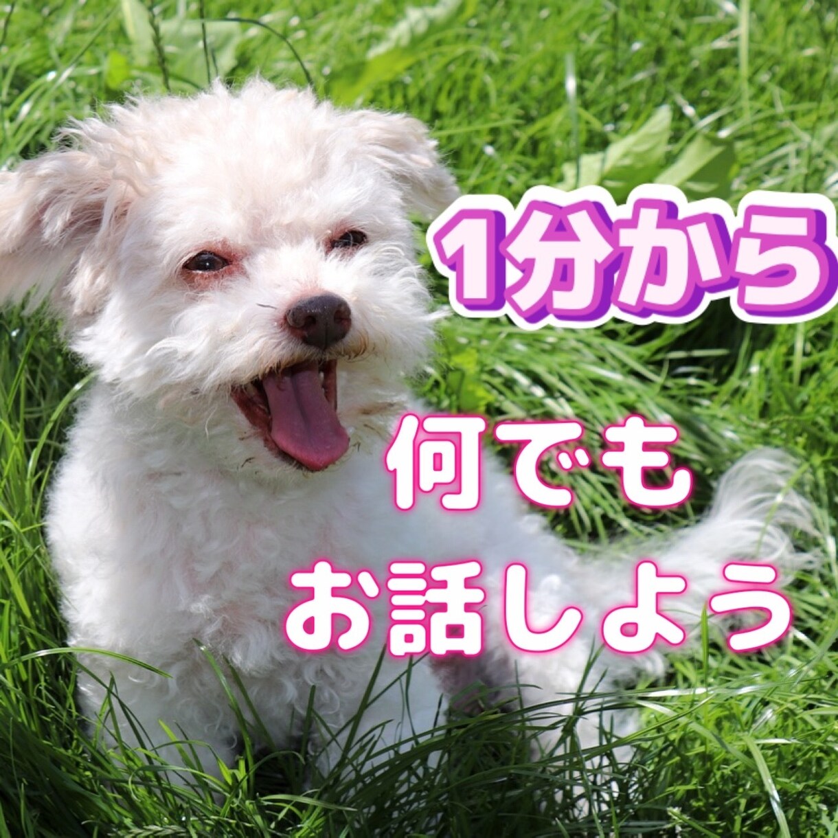 1分からお話お聞きします 愚痴恋愛仕事悩み楽しく会話どんなお話も1分からお聞きします イメージ1