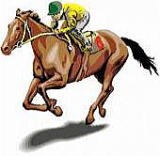 競馬関連の確定申告承ります 競馬業界に精通した税理士による馬主、調教師、厩務員の確定申告 イメージ1