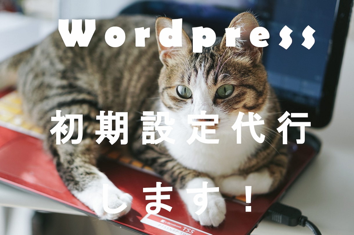 面倒は全部お任せ！Wordpress初期設定します 【格安】スマホ完全対応！あとは記事を投稿するだけ♪ イメージ1