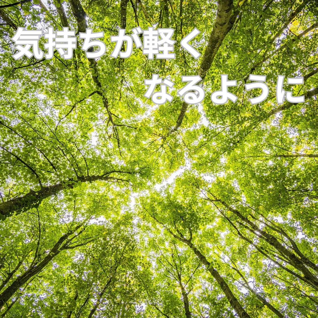 お話しませんか。気持ちが楽になるようにお話聞きます 自己肯定感の向上、トラウマ、障害について、HSP イメージ2