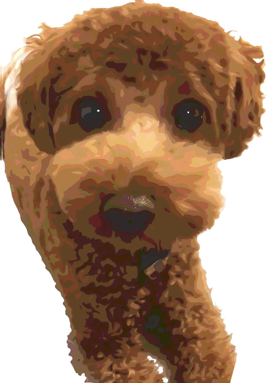 あなたの愛犬、愛猫をイラスト化します あなたのペットをそっくりそのままイラスト化します＊ イメージ2