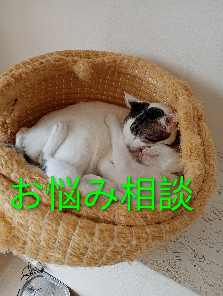 健康●子育て●恋愛など人生のお悩みお聞きします 現役看護師のお悩み相談　気楽な気持ちでどうぞ イメージ1