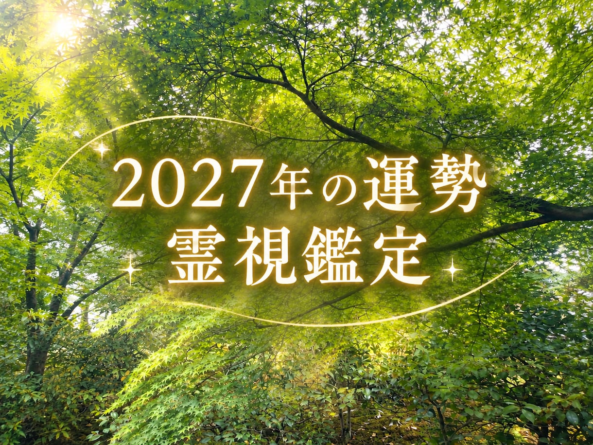 2027年の運勢✨️1年間の運勢を鑑定します 霊視・透視 / 来年はどんな年になるでしょう✨️ イメージ1