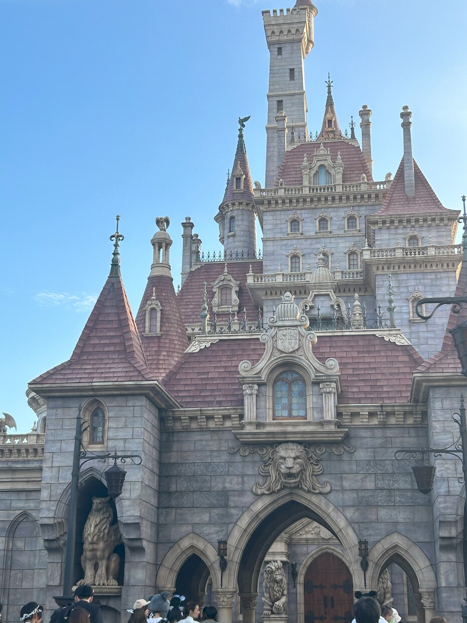 東京ディズニーパークのプラン作成を代行します あなただけの最適プランに元キャストのハウツーを沿えてお届け！ イメージ4