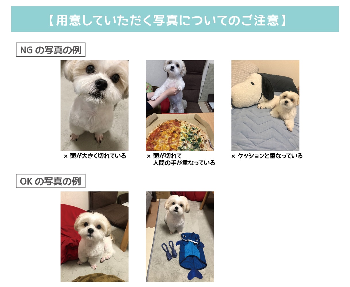 8個〜！写真でLINEスタンプ作成します 大切なペットのお写真を可愛くアレンジしてスタンプにします！ イメージ3