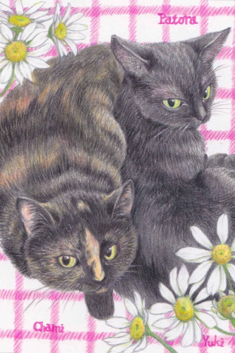 ペットの似顔絵をお好きなお花と共にお描きします 原画郵送！/ハガキサイズから/額縁付き/お花と動物 イメージ2
