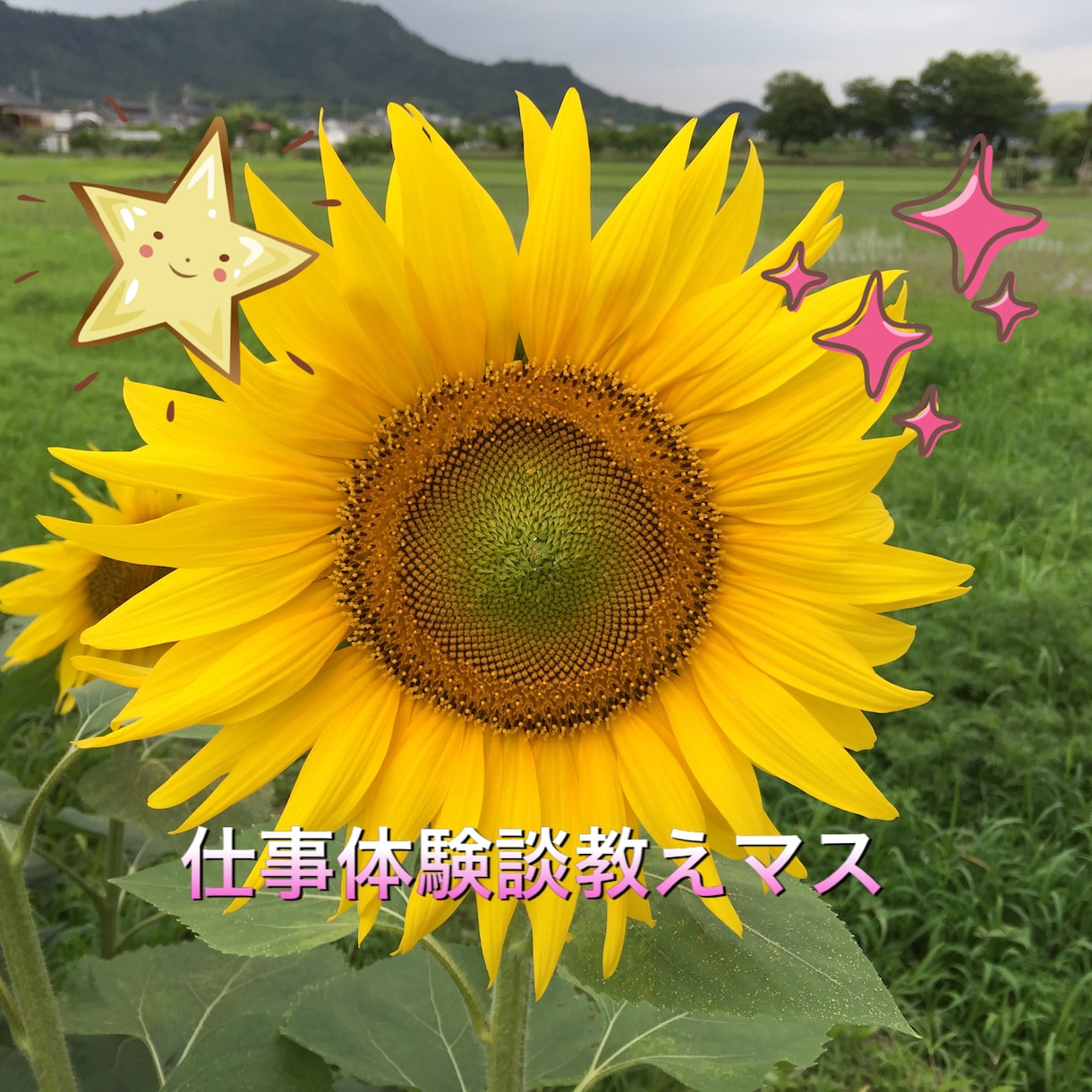 仕事体験談教えます 就職転職前に知りたい仕事についてお話します。 イメージ1