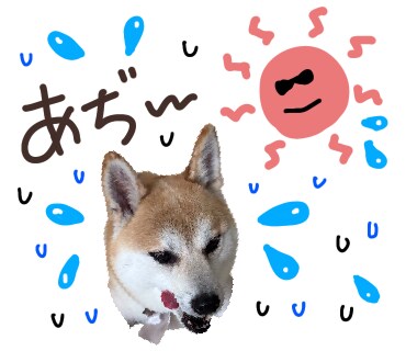 オリジナルLINEスタンプ作ります 我が子や、愛犬のLINEスタンプを作ります！！ イメージ5