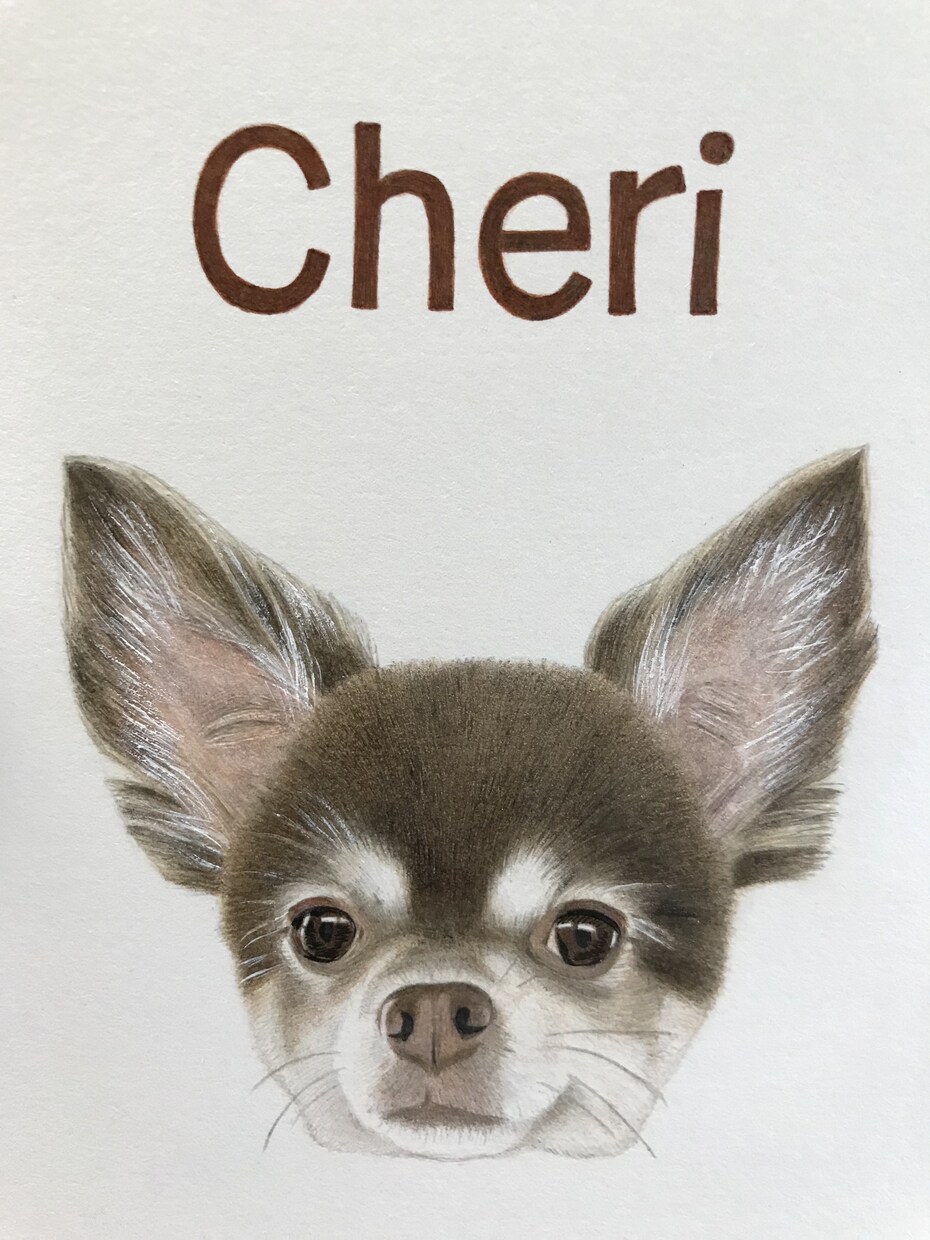 色鉛筆で人物、ペットの似顔絵、肖像画をお描きします 【A4サイズ】心を込めてお描きします！贈り物や記念にどうぞ♪ イメージ5