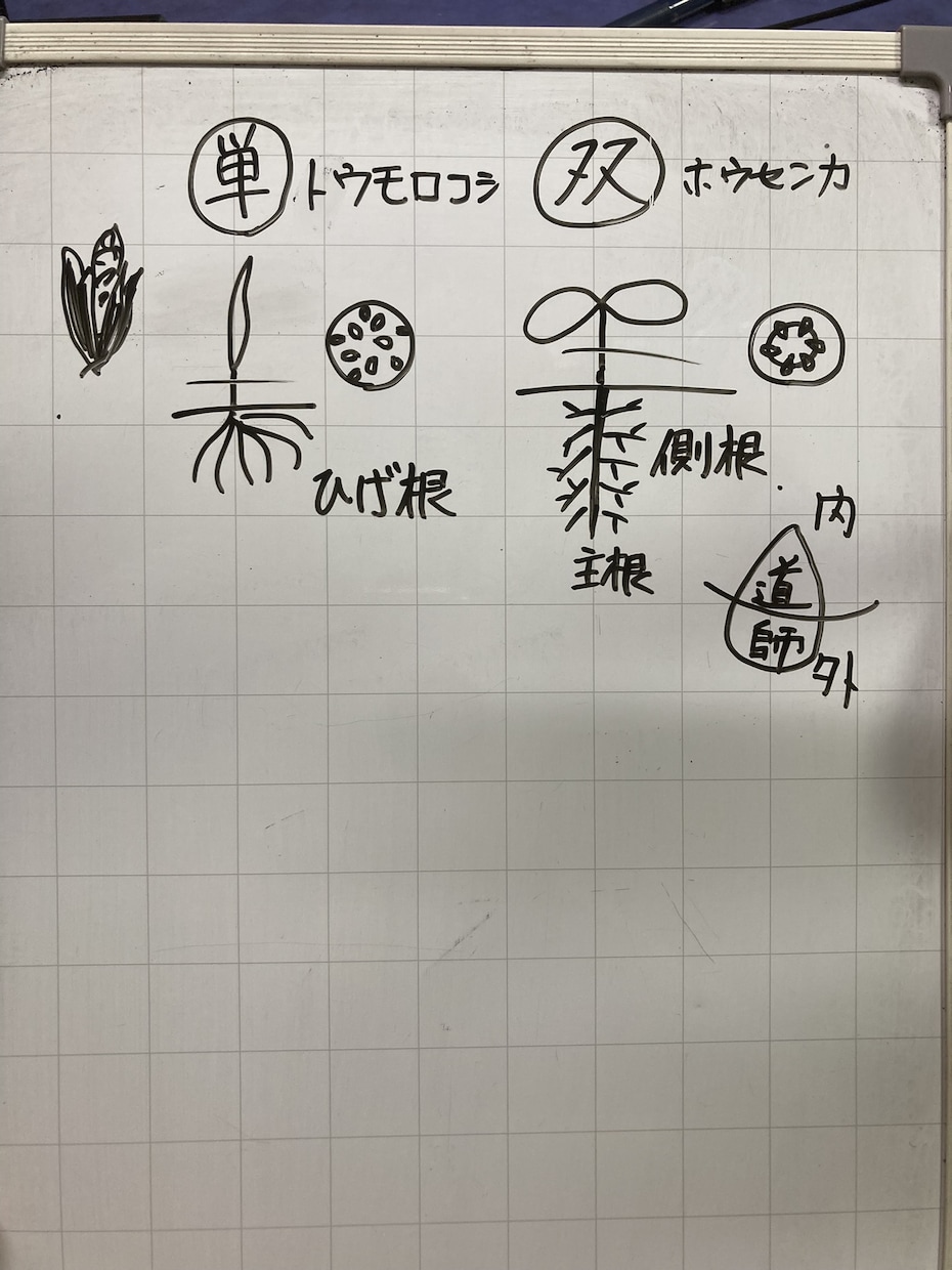 冬休みの勉強をお手伝いします 家庭教師歴20年の私と学校の総復習をしませんか？ イメージ3