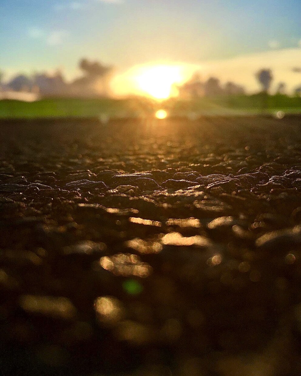 ご依頼に応じた写真撮影＋編集をします 安く!写真を使ってデザインしたい時!うまく決まらない時に! イメージ1