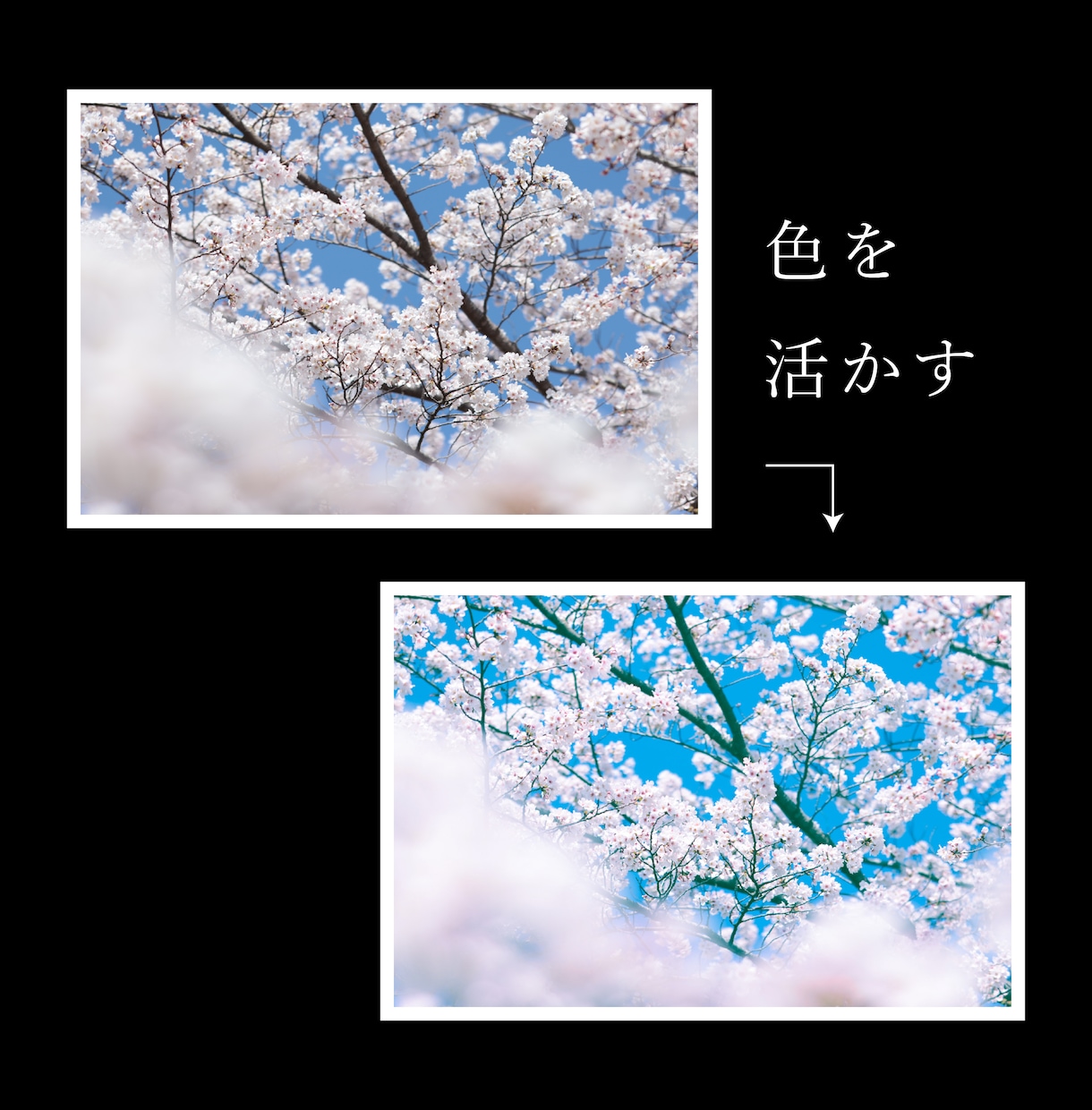 Photoshopでレタッチ・画像加工します Webサイトやチラシなどに使う写真をもっと魅力的に◎ イメージ2