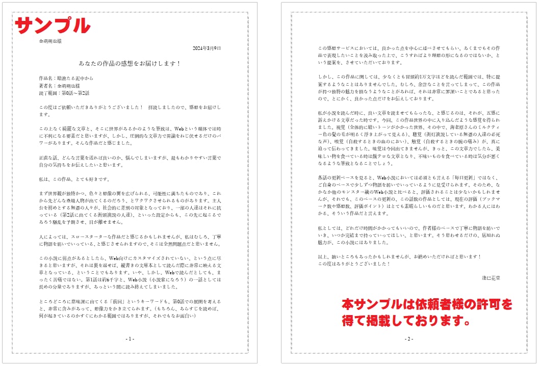あなたの小説を読んで感想をお届けします 商業出版の実績を持つプロが真心込めて感想をお届けします！ イメージ5