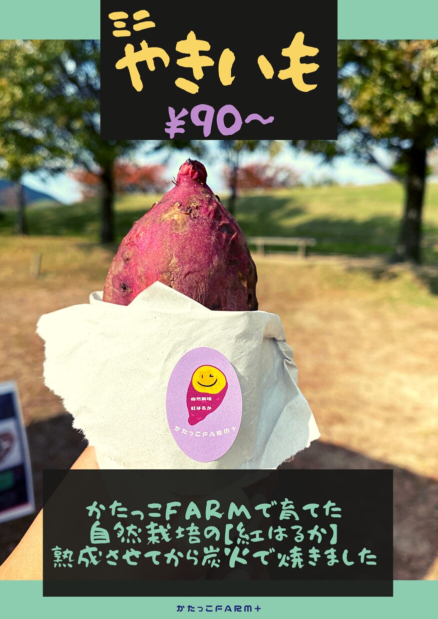 メニューデザインお作りします メニュー表や単品メニューなどお作りします イメージ8