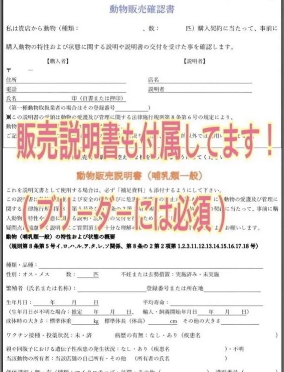 ブリーダーに興味がある方に必見の内容をお伝えします 【第一種動物取扱業マニュアル&販売契約書セット】 イメージ6