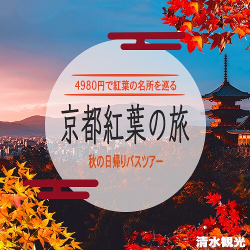 ココナラで使用する出品画像を作成します 目を引くオリジナル性のあるバナーを低価格で作成 イメージ4