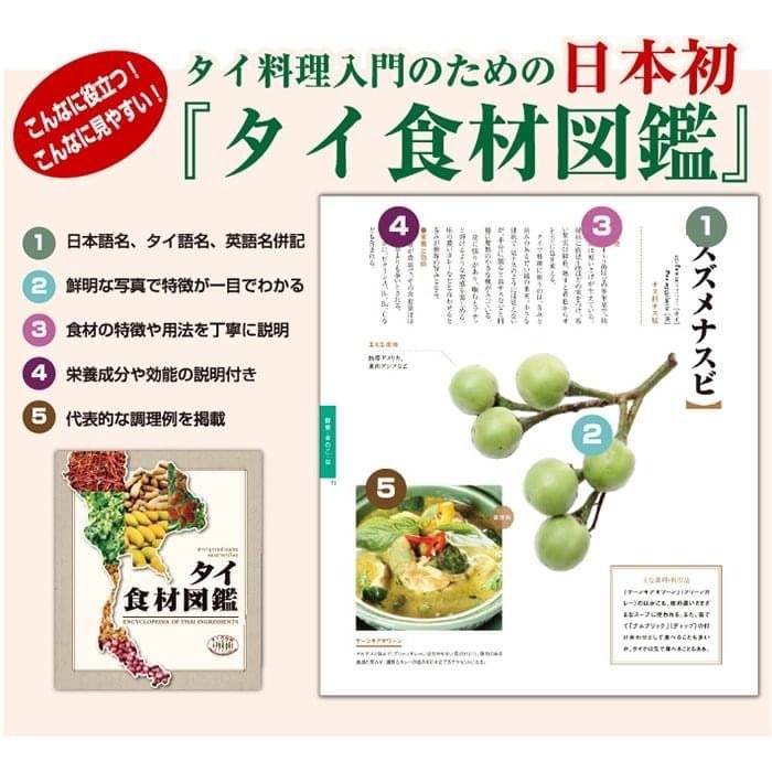 タイ語を楽しく学ぼう！会話レッスンします ネイティブと一緒に！日常からビジネスまでを提供します。 イメージ3