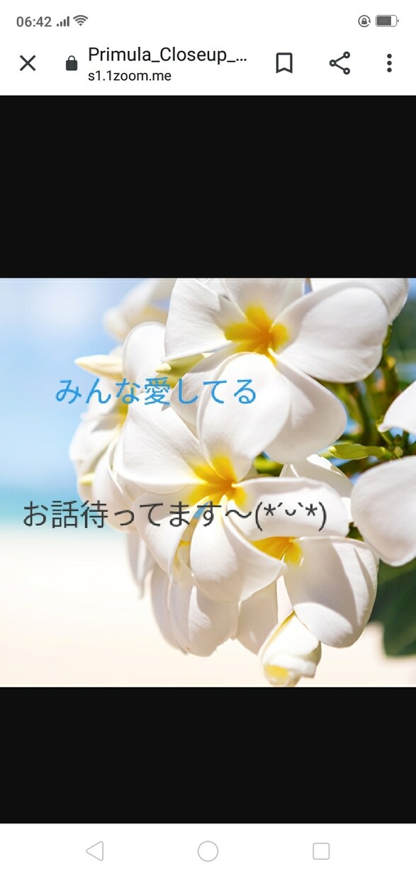 チャットにて たくさん お話し全部丸ごと聞きます 即レス努力します！お気軽にどうぞ(◜ᴗ◝ ) イメージ1