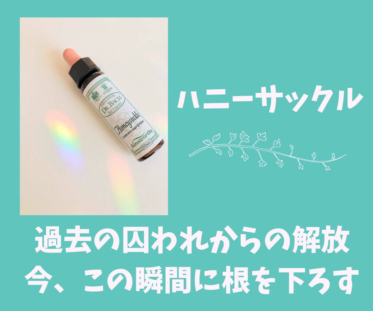 バッチフラワー✨プライベートレッスン✨教えます 自然からの贈り物✨植物の波動を使った心を癒し整える自然療法✨ イメージ8