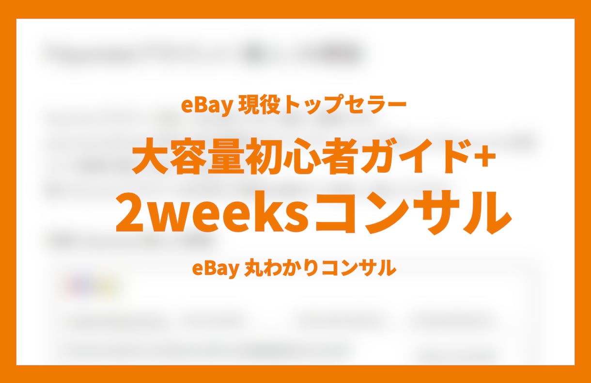 ebay 初心者向け 2週間みっちりコンサルします 大容量スタートアップガイド＋ショップ立ち上げサポート付き イメージ1