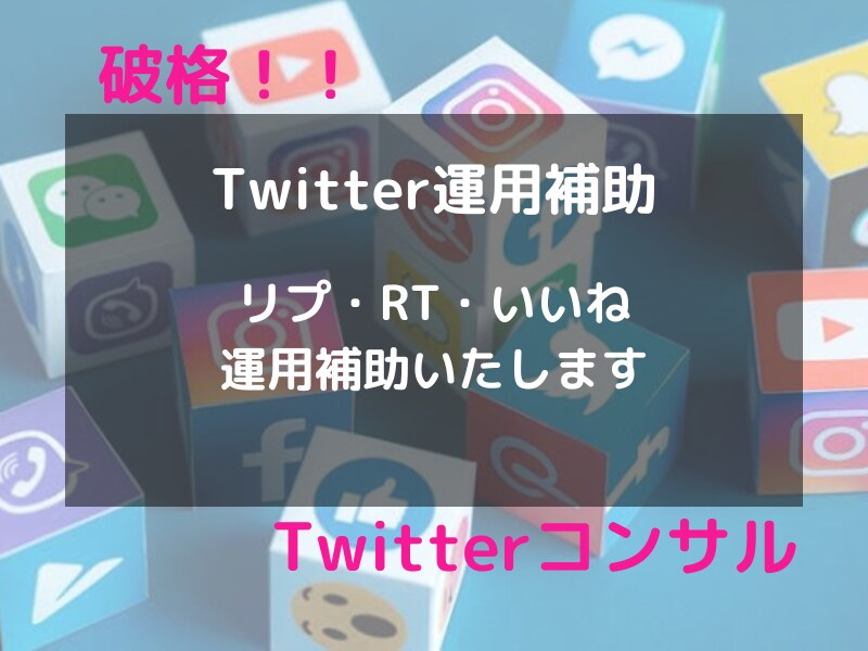 破格！プロがあなたのTwitter運用を補助します 忙しいあなたへ。アカウントを効率的に補助し認知をあげます。 イメージ1
