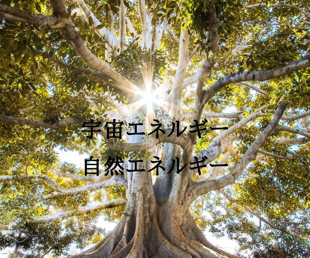 あなたの魂が望む未来へやさしくエネルギーを整えます 本来の自分とつながり、未来への意図を育てる イメージ9