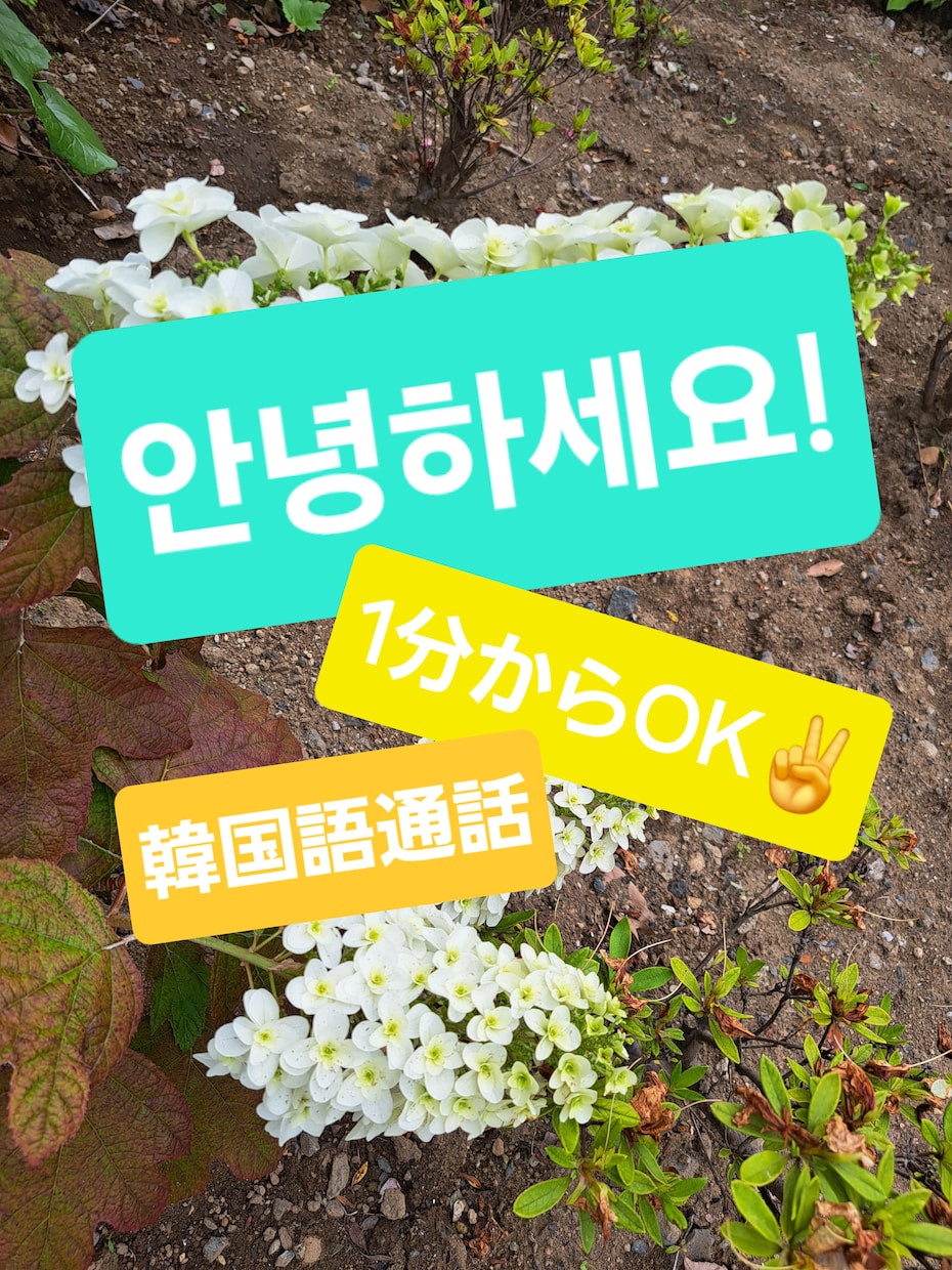 韓国語(한국말)でお試し電話できます 勉強した韓国語で気軽に話してみたい方！１分からでもOK！！ イメージ1