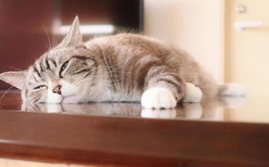 心の吐け口になります 吐き出したいもの、全部話してみませんか？ イメージ1