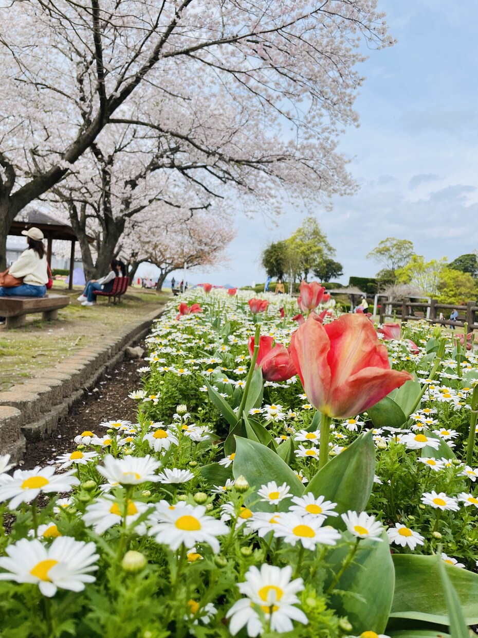 心の健康を手助けします まずは今日の１日を無事に過ごせるようにお手伝いしたいです イメージ1