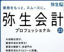 弥生会計の入力代行いたします 確定申告の準備でデータ入力が必要な方 イメージ1