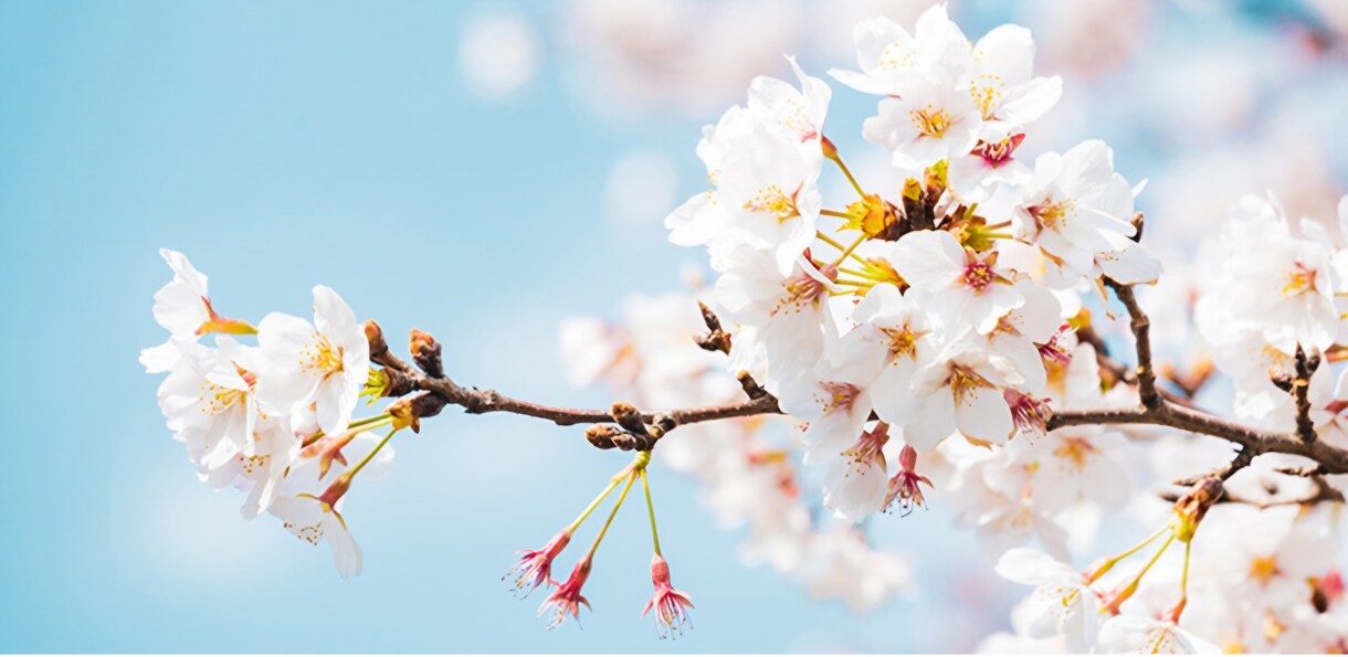 1分でも！些細な悩みでもOKです！お悩み占います これからの未来をどのように過ごすのが幸せへの道か導きます。 イメージ1