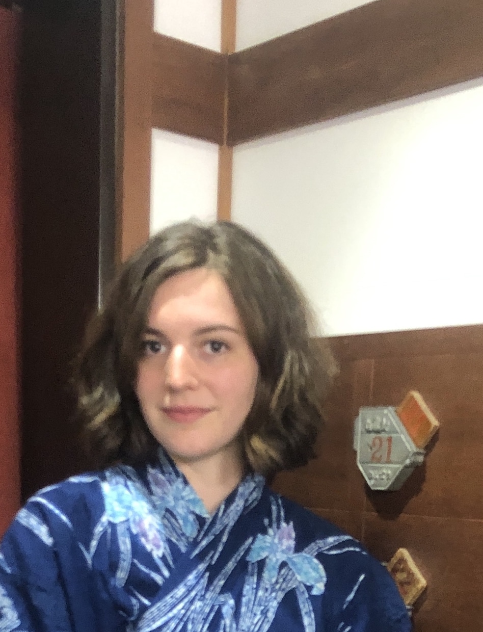 コロナの中　代わりに外国滞在致します 海外に行くことで困っておられたら、代行します^ ^ イメージ4