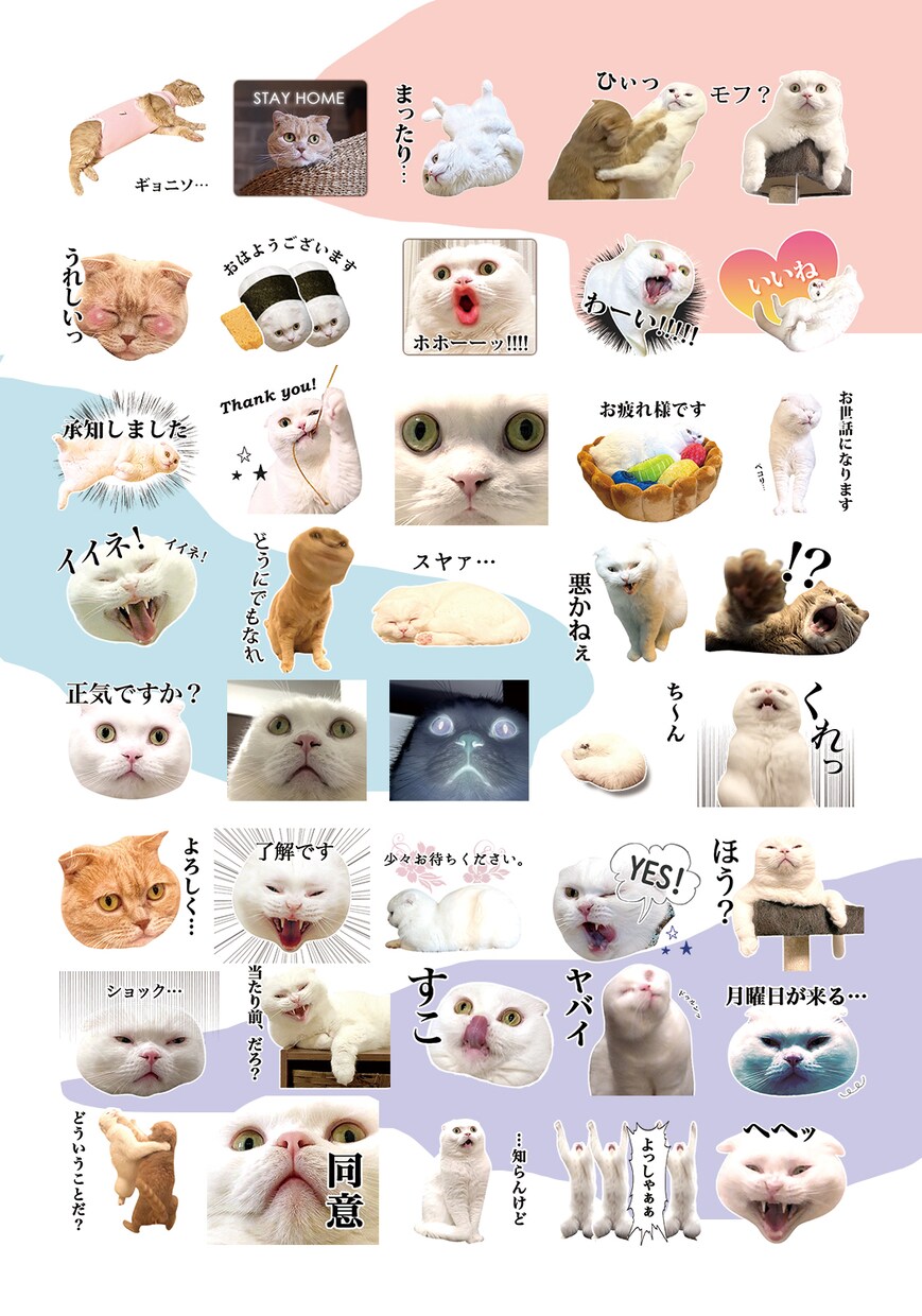 ペット、お子様のお写真でLINEスタンプ作ります 可愛くシュールに！アレンジしてお作りします。 イメージ1