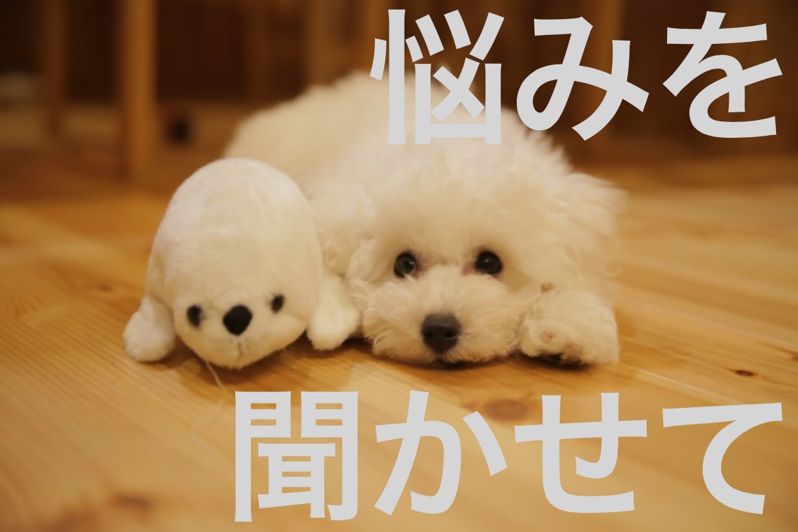 お悩み聞きます 悩みを吐き出してすっきりしましょう！お気軽にお話し下さい♪ イメージ1