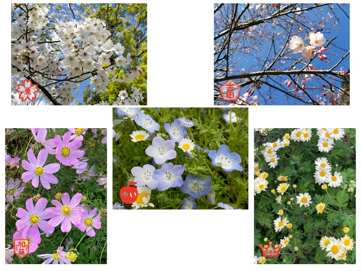 SNSで使えるデジタルはんこ作ります 写真に、自分だけのはんこを押してオリジナリティーを出そう イメージ9