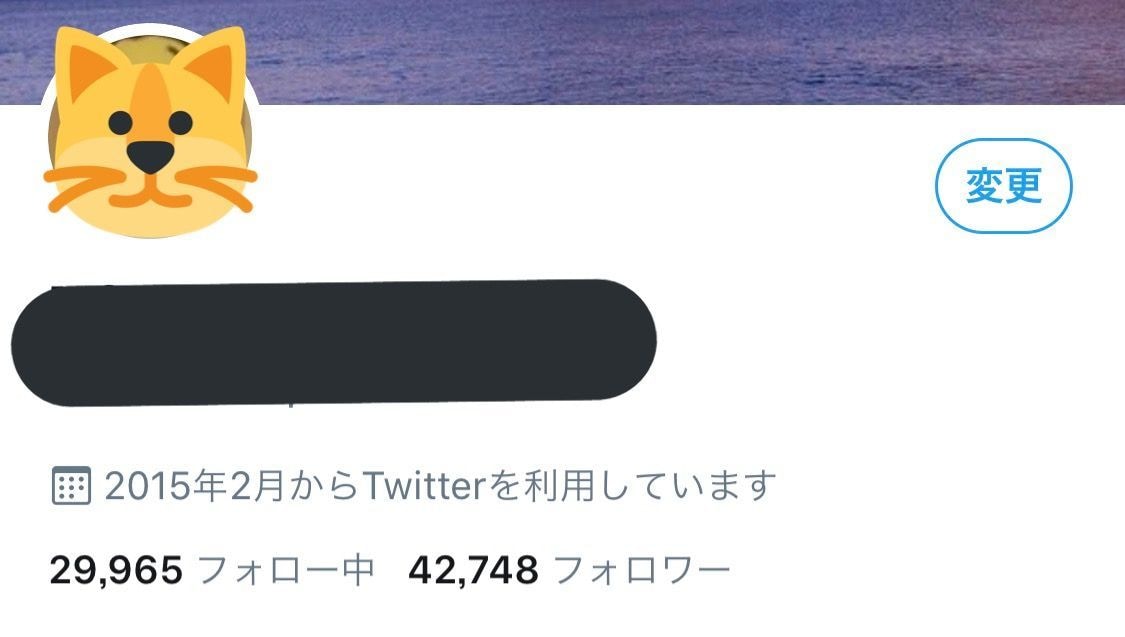 ツイッタ―日本人4.3万人に拡散します ちゃんとしたアカウントになります。 イメージ1
