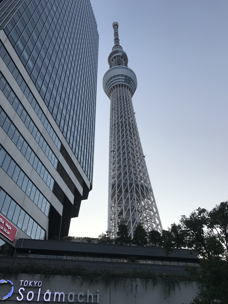就職か創業どっち？お気軽にアドバイスします 就職か創業かどうしよう？？？様々な視点からアドバイスします イメージ1