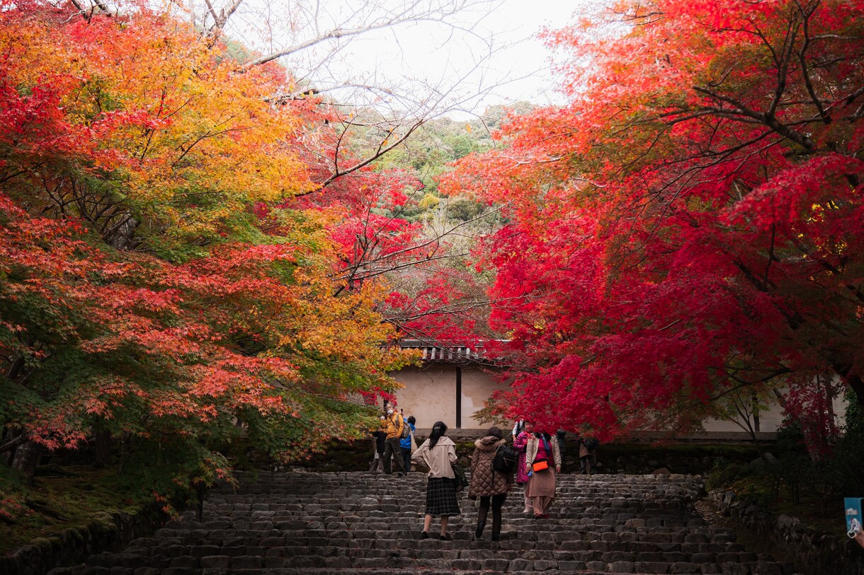 京都で“映える写真”撮影します 祇園・伏見稲荷・嵐山・清水寺など イメージ3