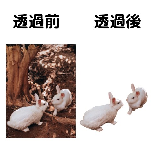 画像の切り抜き・加工・合成します 手早くお手軽にご相談可能です！ イメージ3