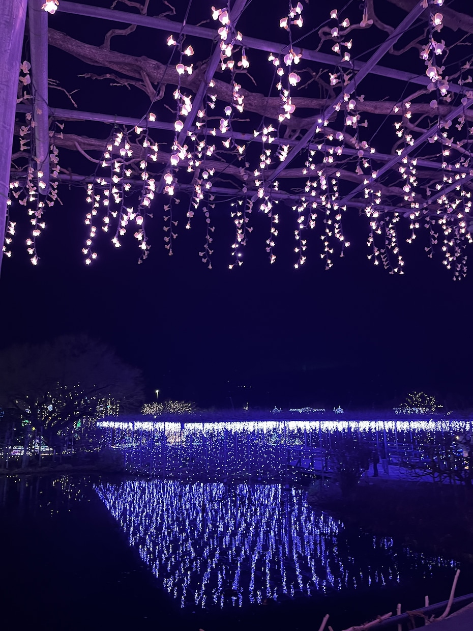 あなたの気持ちを大切にゆっくりお話お聞きします 心が楽になりますように(* u.u)安心して話せる場所です イメージ10