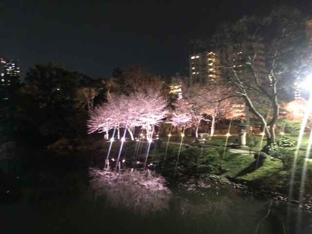 あなたの心の悩みに寄り添います 日々のモヤモヤを前向きに一緒に解決しましょう！ イメージ1