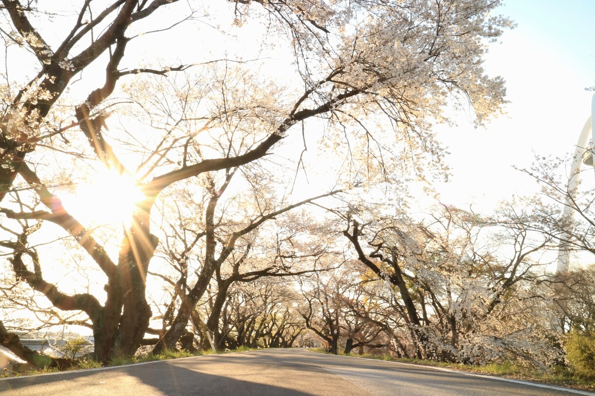 あなたが撮影した写真、動画をより輝かせます 他の人より映えさせたいけど、一から編集は大変というあなたへ！ イメージ1