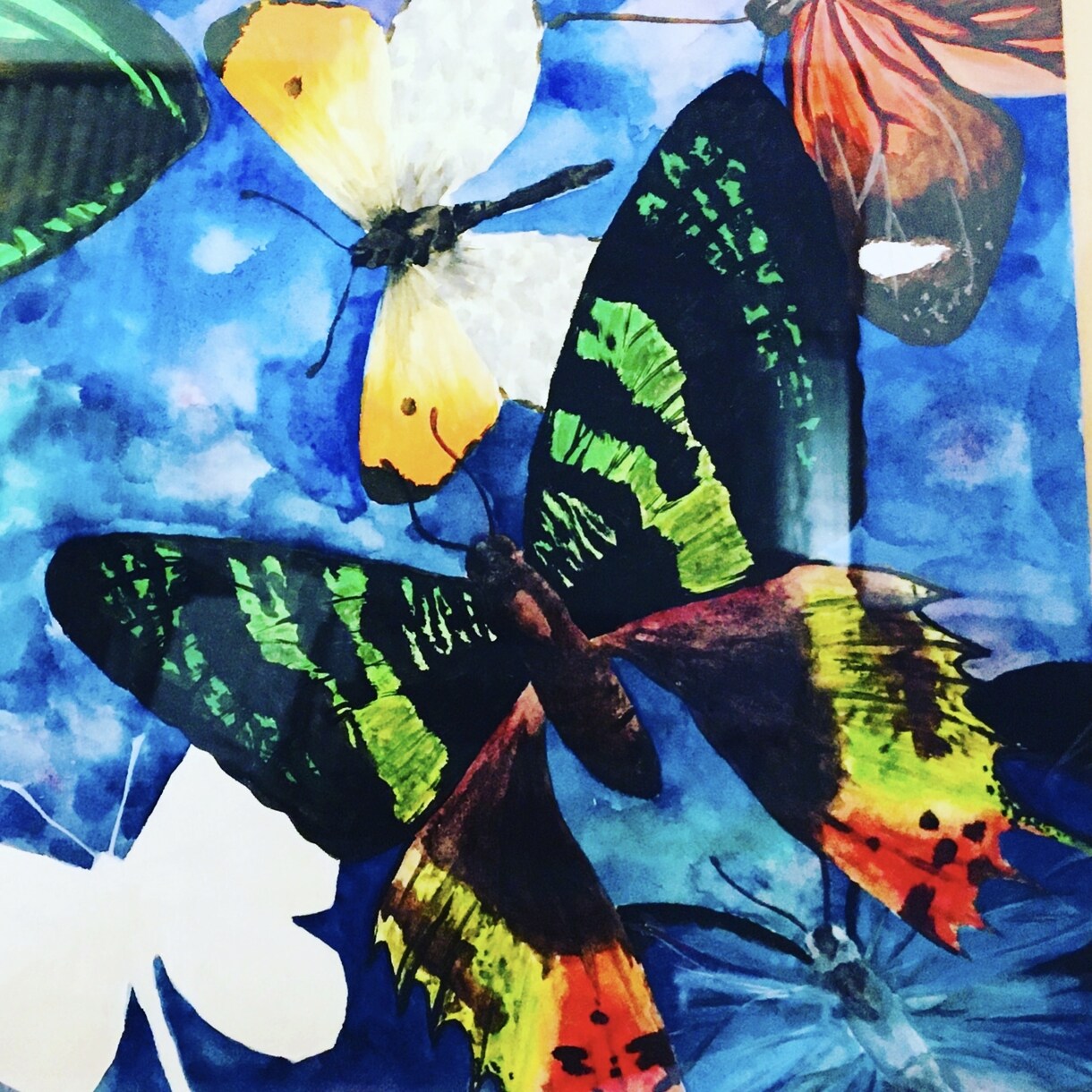 あなたのペットの似顔絵描きます あなたの動物家族(ペット)の似顔絵を描かせて下さい！ イメージ4