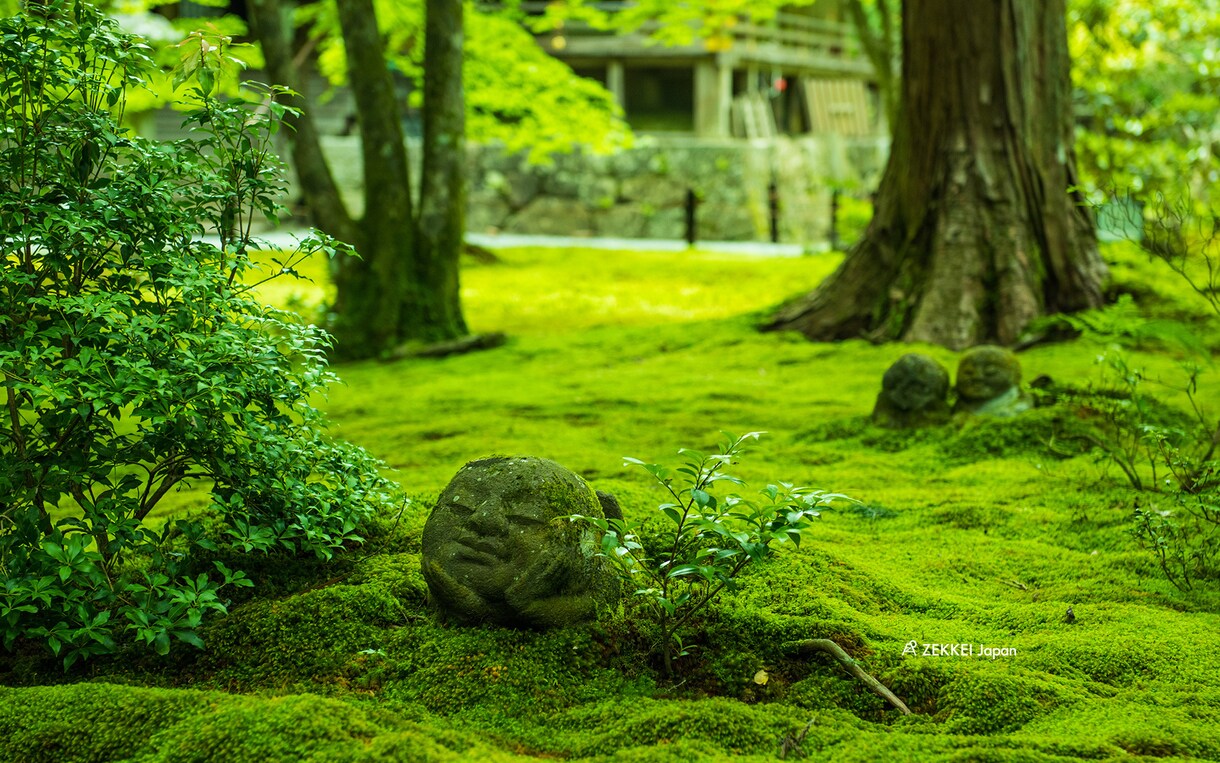 現役看護師が優しく愚痴を聞きます もう限界なあなたへ寄り添います。 イメージ1