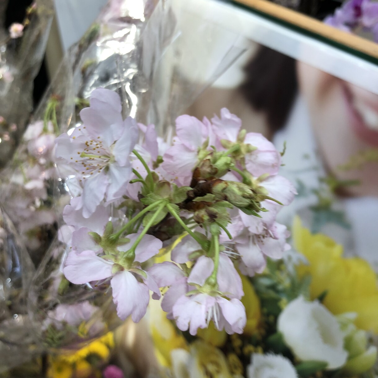 お悩み聞きます ⭐︎否定も評価もアドバイスもせずただ寄り添って⭐︎ イメージ3