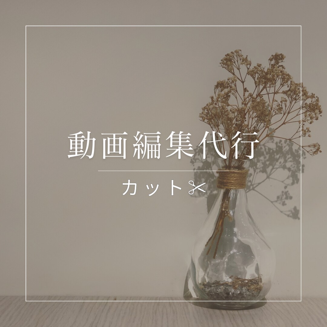 動画のカット編集承ります 動画を切り抜き分かりやすい動画にします！ イメージ1
