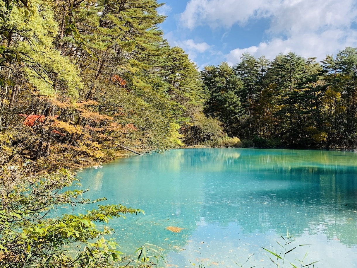 相手の気持ち・未来・人生の迷いを丁寧に読み解きます 潜在意識にアクセス、具体的な解決策、心が軽くなる総合鑑定 イメージ4