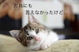 ママ、妻としての日頃の悩みをききます 保育園、障害者施設での経験を活かし話してホッとできる時間に。 イメージ1
