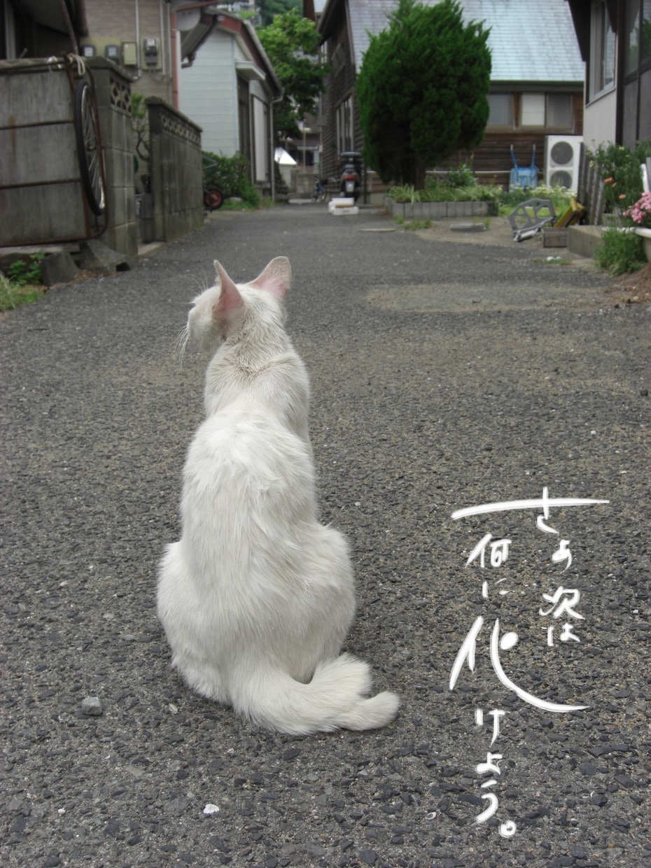 筆文字書きます！ イメージ1