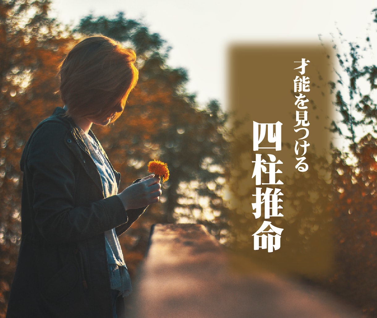 四柱推命の命式の読み方を10分で教えます 【初心者向け】自分の性格・適性・価値観を知りたいあなたへ イメージ1